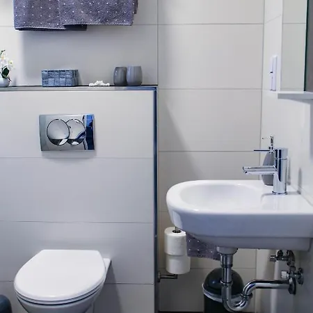 Gaestehaus Strauss 3* Rodgau